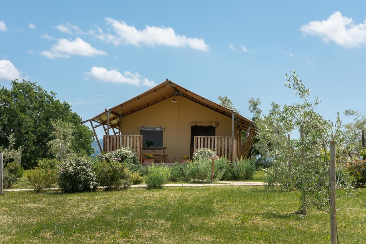 Agriturismo L'Antica Fornace Peccioli ภายนอก รูปภาพ