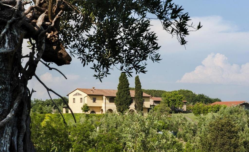 Agriturismo L'Antica Fornace Peccioli ภายนอก รูปภาพ